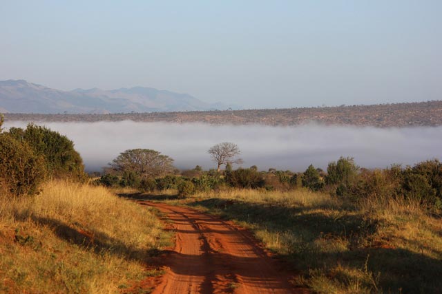 Tsavo National Park, Kenya